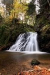 Lower falls, Fairy Glen, Rosemarkie, Highland by Dave Banks