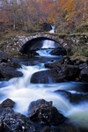 Roman Bridge, Glen Lyon, Tayside by Dave Banks