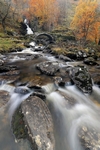 Roman Bridge, Glen Lyon, Tayside by Dave Banks