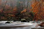 Hermitage, Dunkeld, Tayside by Dave Banks