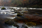 Hermitage, Dunkeld, Tayside by Dave Banks