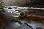 Hermitage, Dunkeld, Tayside by Dave Banks