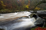 Hermitage, Dunkeld, Tayside by Dave Banks