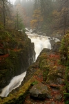 Hermitage, Dunkeld, Tayside by Dave Banks