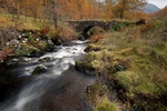 Pack Horse Bridge, Sma Glen, Tayside by Dave Banks