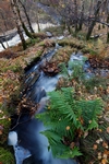 Allt Mor waterfall, Kinloch Rannoch, Tayside by Dave Banks