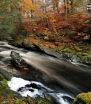 River Tilt, Tayside by Dave Banks